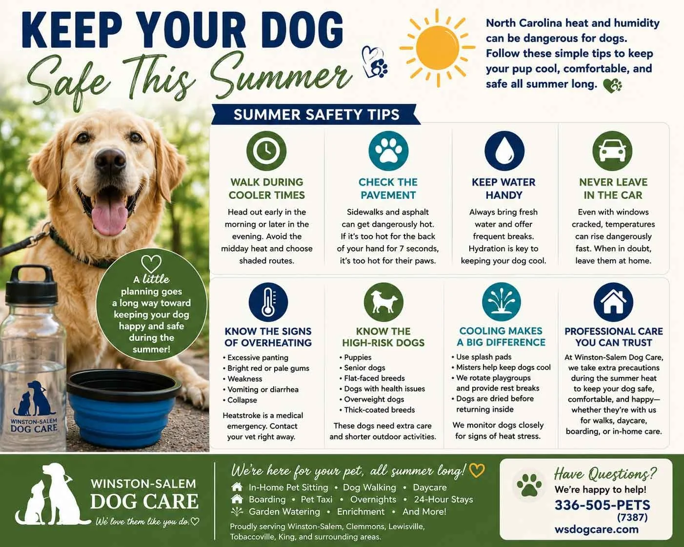 How to Keep Your Dog Safe During North Carolina's Summer Heat