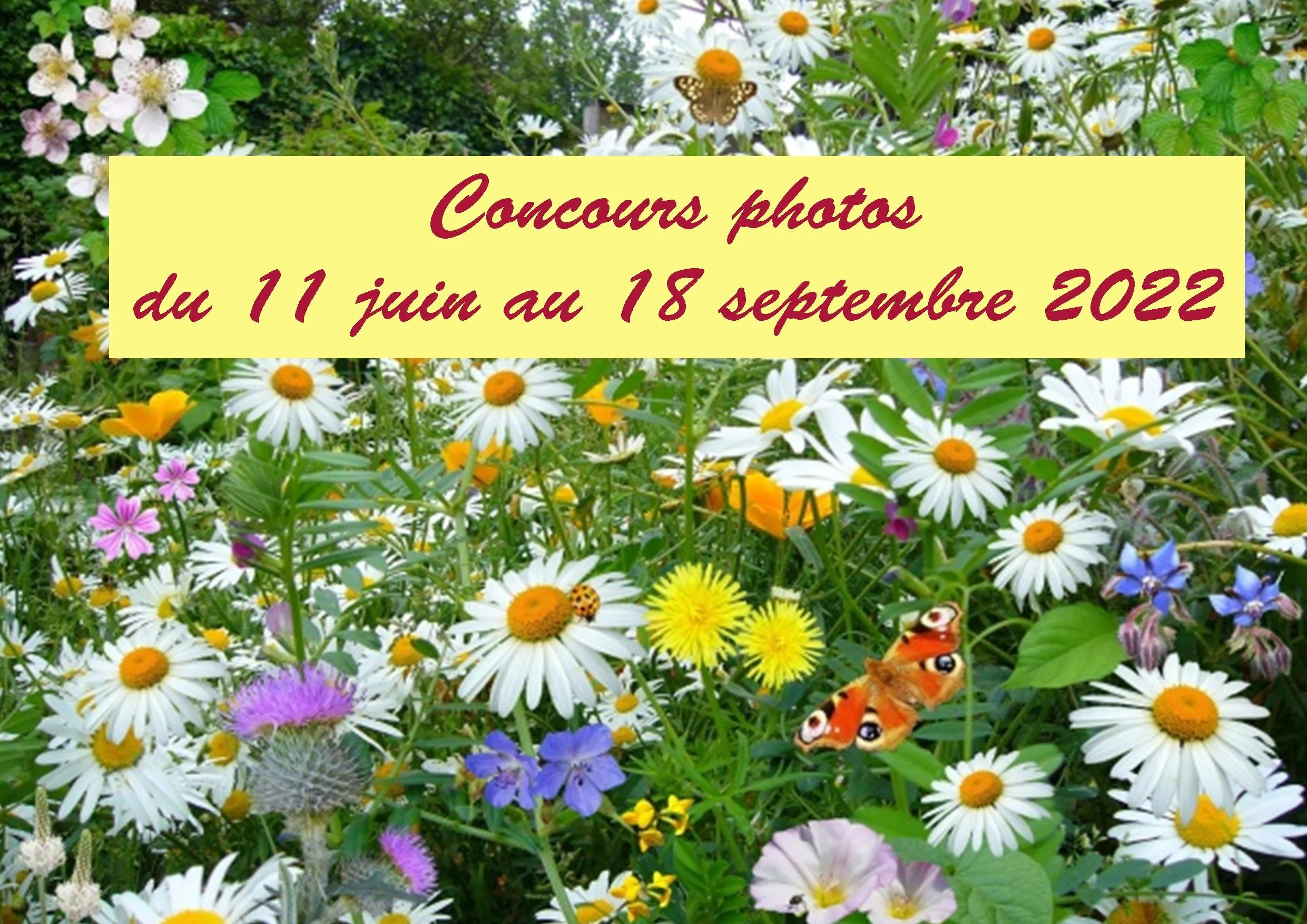 Concours photos organisé par le Midi Corrézien avec 3 catégories et ouvert à tous
