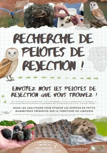 Le Pôle Nature Limousin à Aixe sur Vienne, recherche des pelotes de rejection !