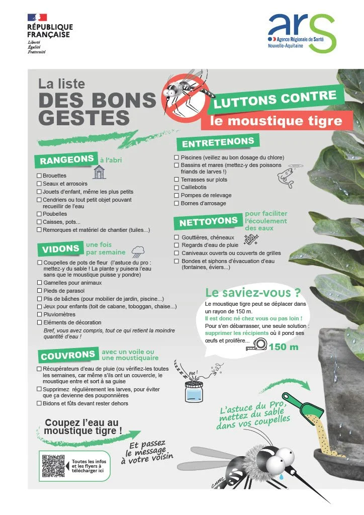 Luttons contre le moustique tigre - Liste des bons gestes à adopter