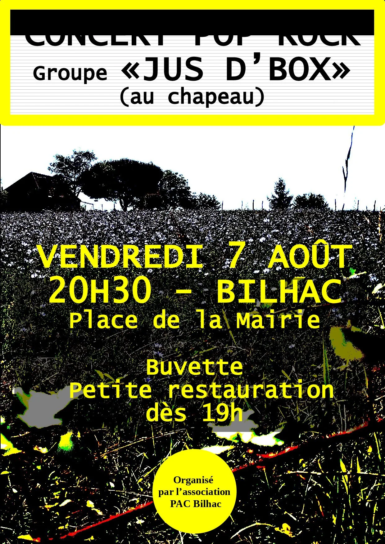 Concert Pop Rock - vendredi 7 août  à Bilhac