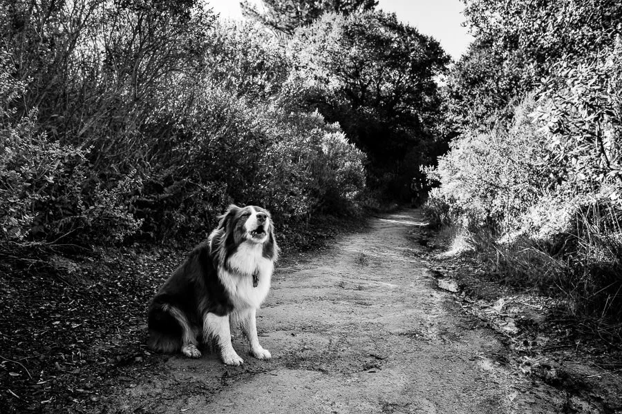 End of year recap and plans for 2019