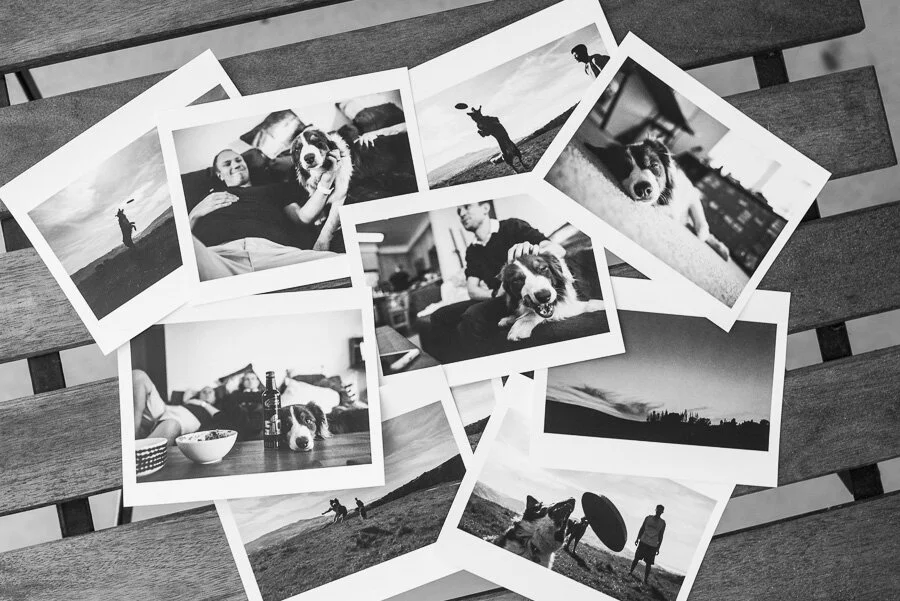 Print Project 2 | 2016