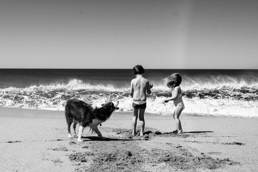 The Type Of Photographs I Want To Make