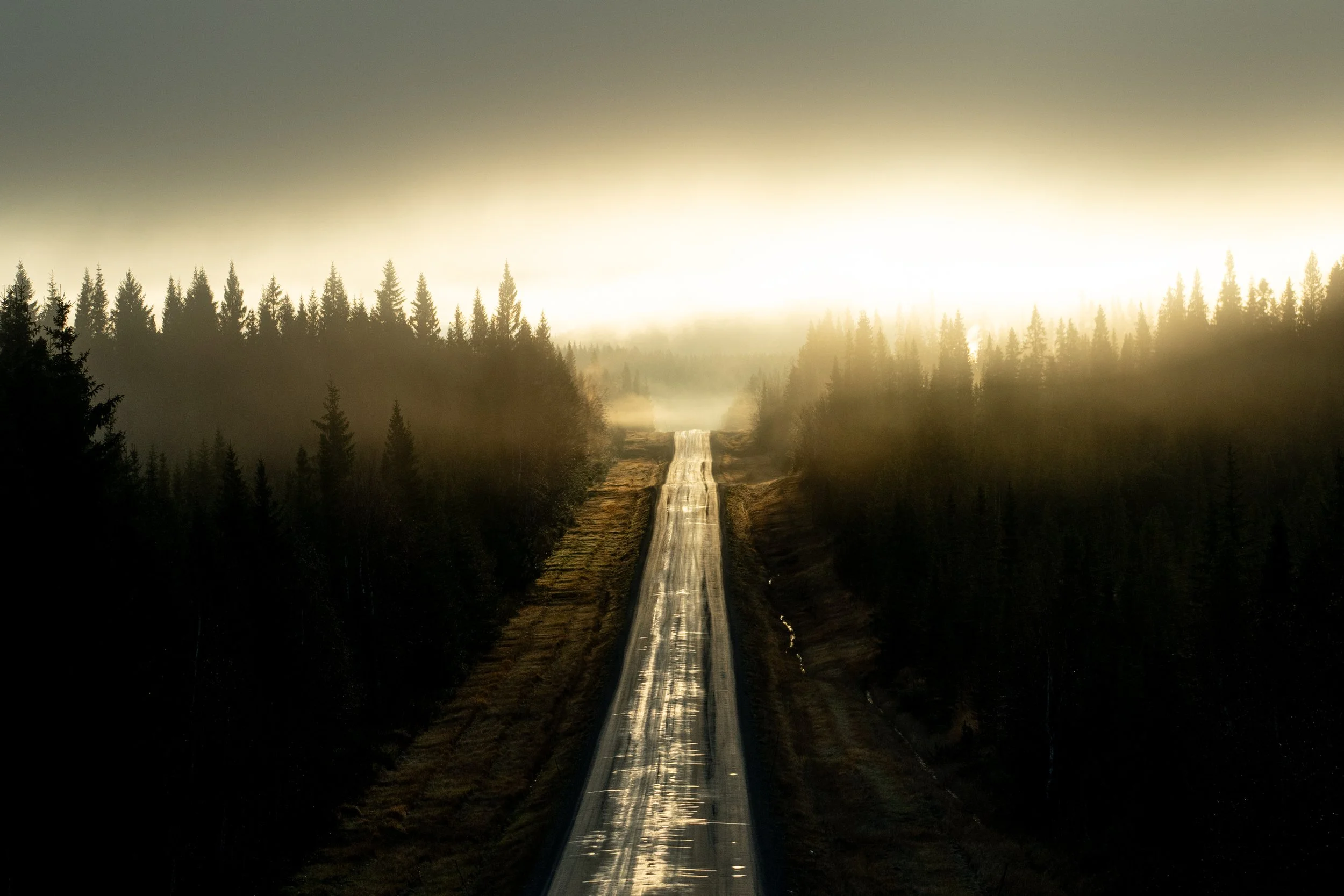 Grundviken oktobergmorgon solen över vägen.jpg