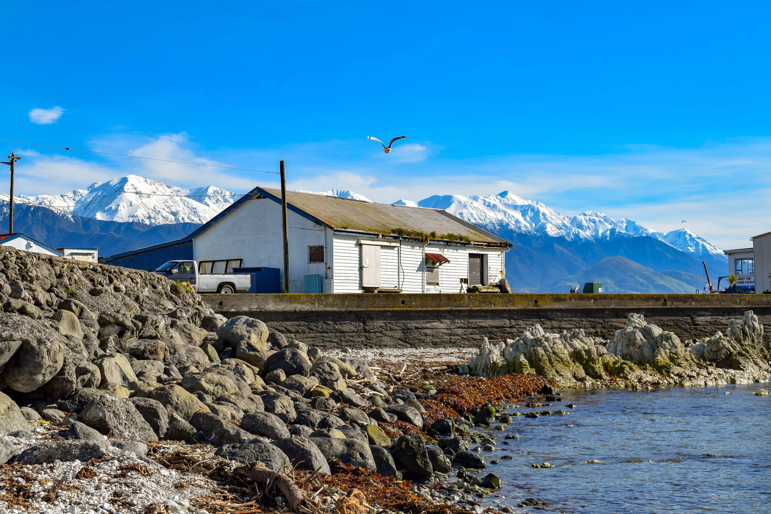 Fiskehamn i kaikoura (1 av 1).jpg