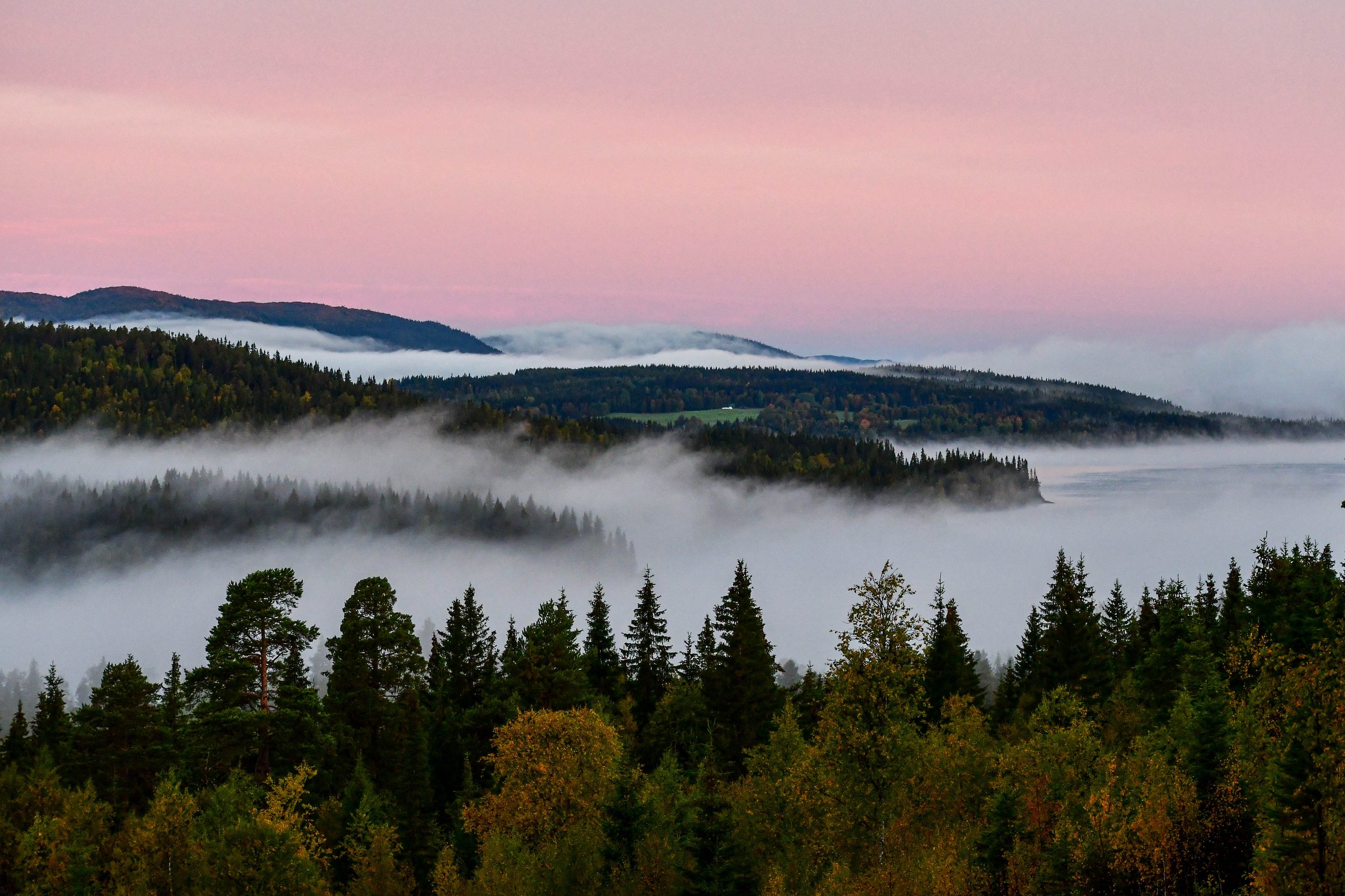 Hemma morgondimma  över Kallsjön rosa himmel nära FIN.jpg