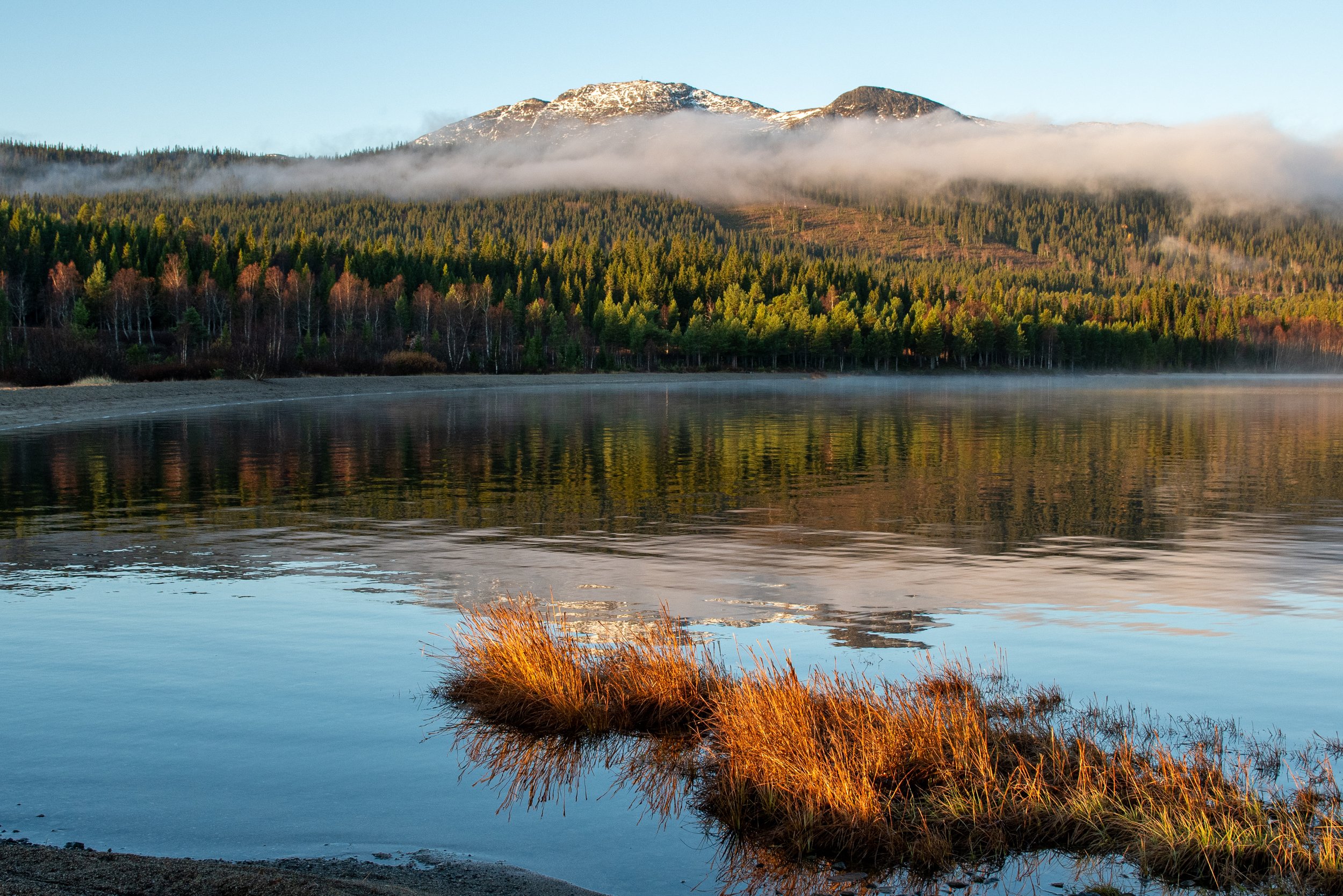 Grundviken oktobergmorgon molnremsa och spegling gräs.jpg