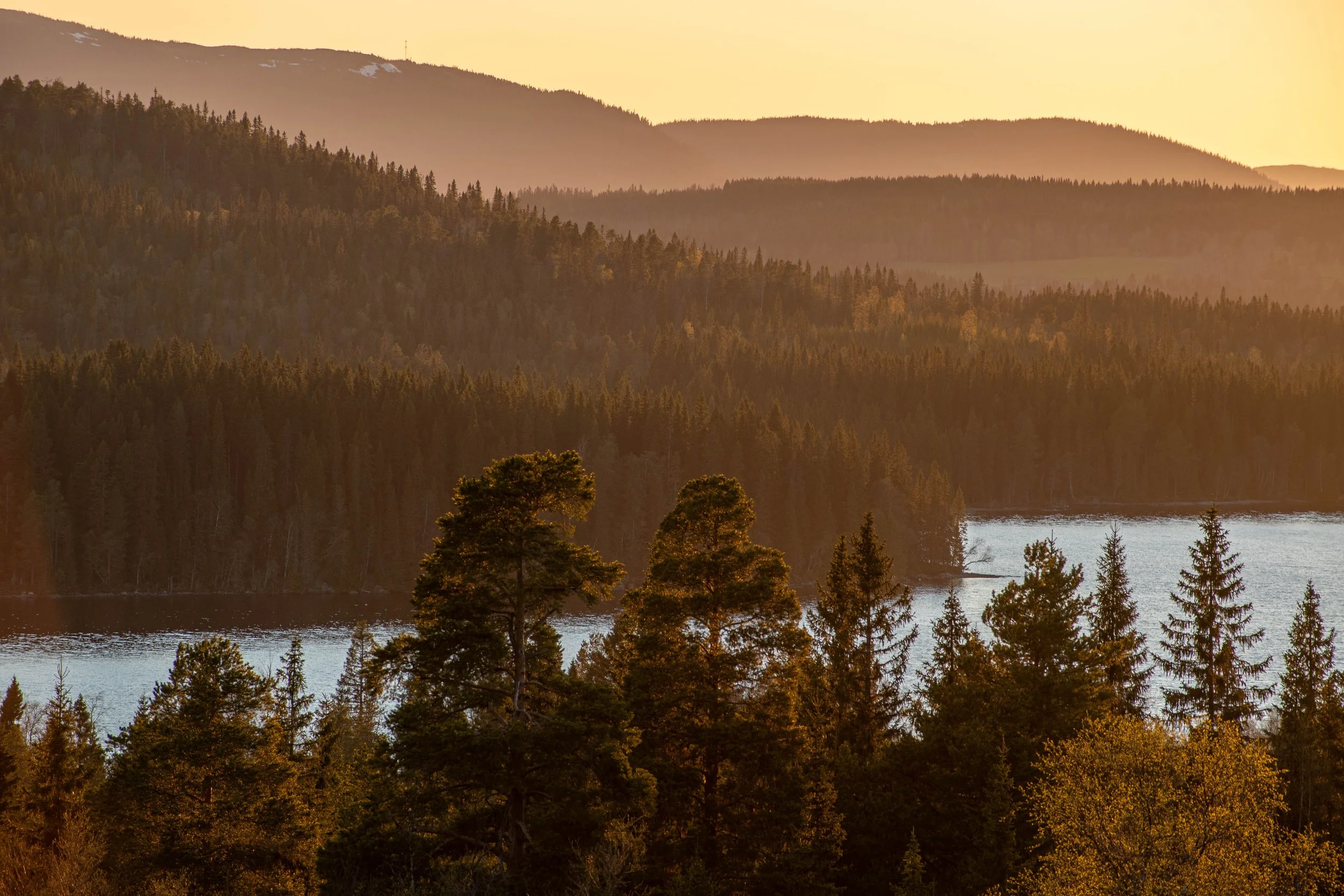 Hemma Solnedgång över kallsjön gult 3.jpg