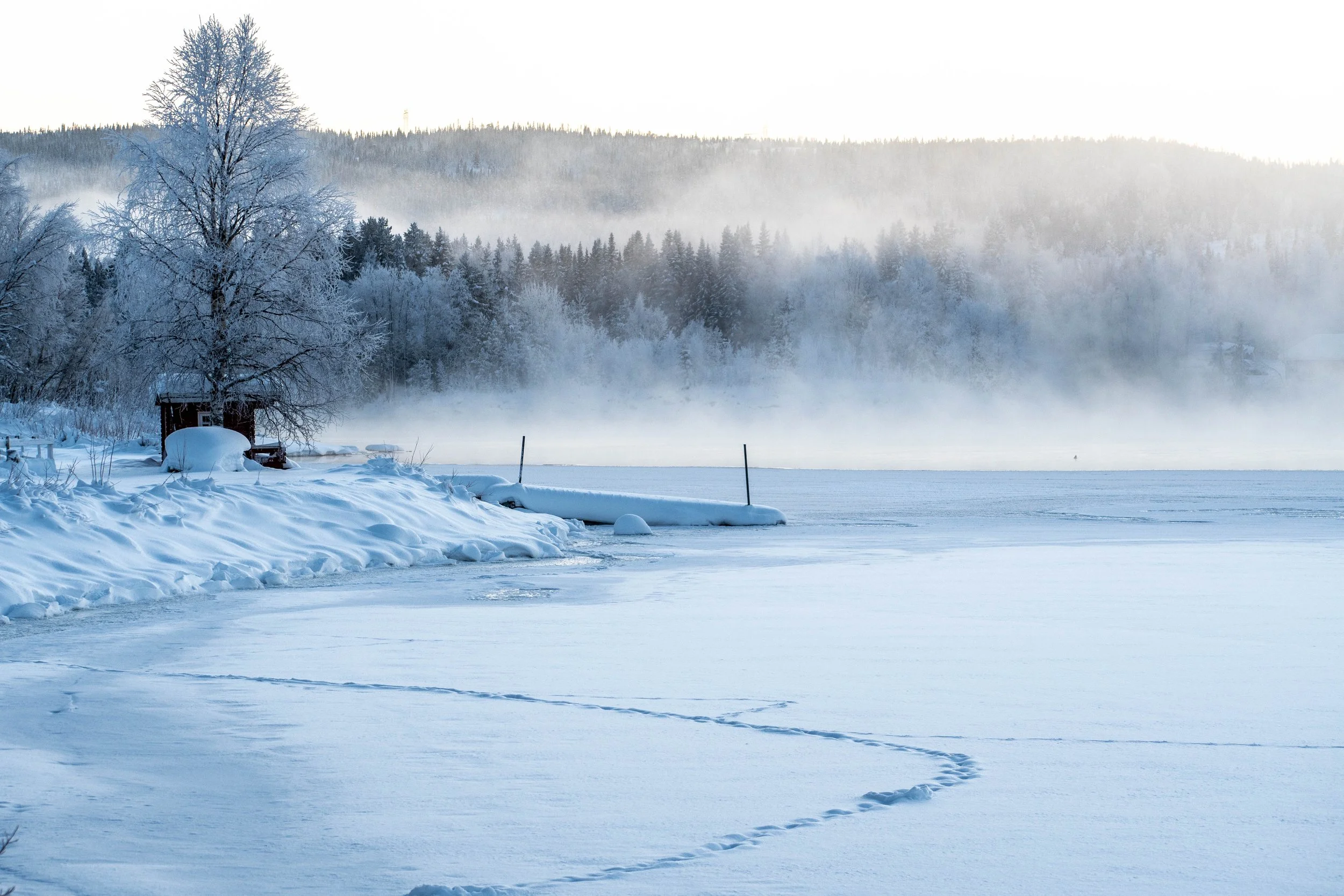 Hemma  kölddimma bonäshamn.jpg
