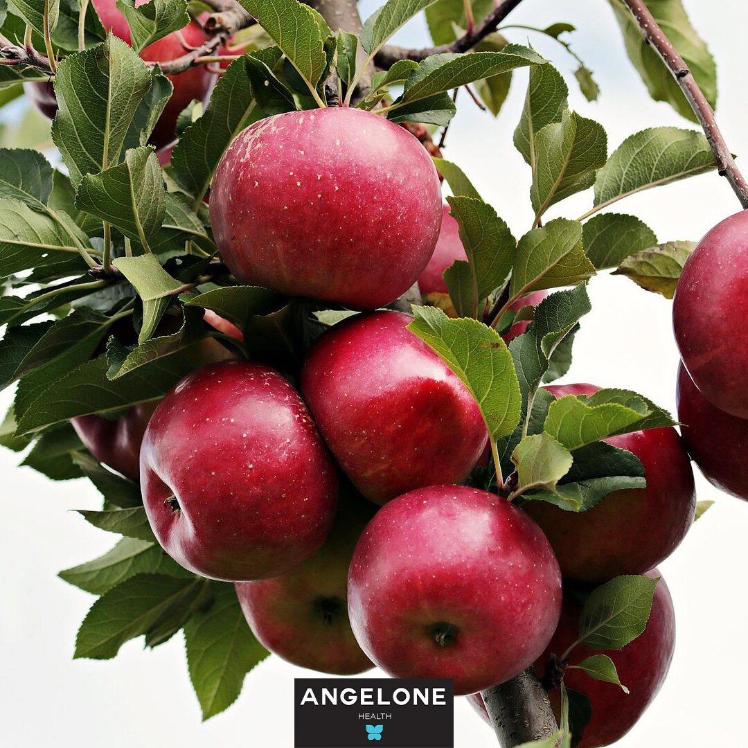 September has arrived and so has apple picking season! For the next two months, you can pick &amp; eat locally grown apples.

Apples are rich in antioxidants, particularly polyphenols and Vitamin C, and fiber. Antioxidants fight off free radicals tha