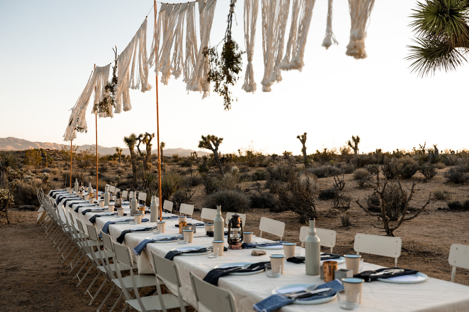 A Night in Joshua Tree with Camp'd Out