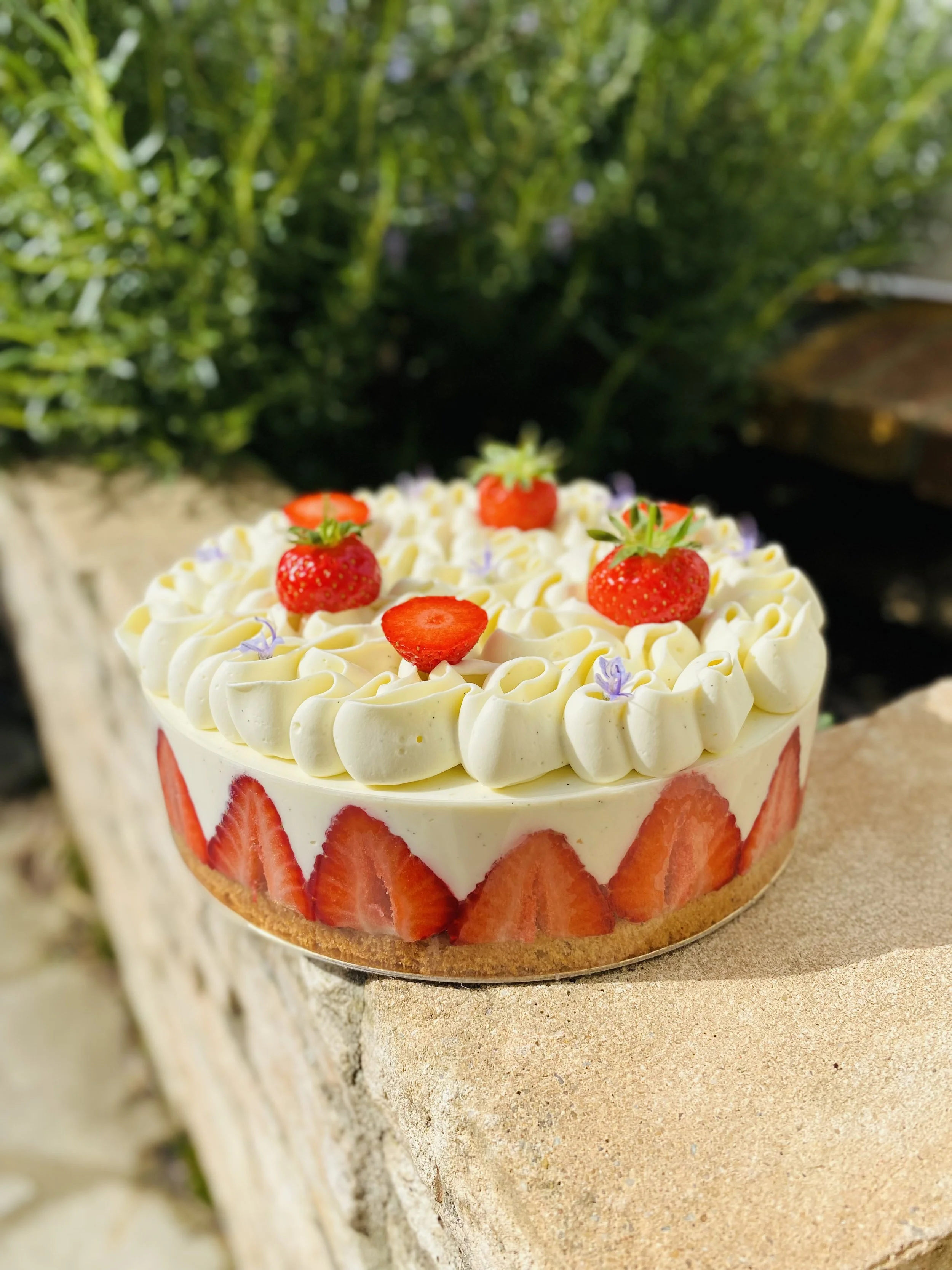 Fraisier
