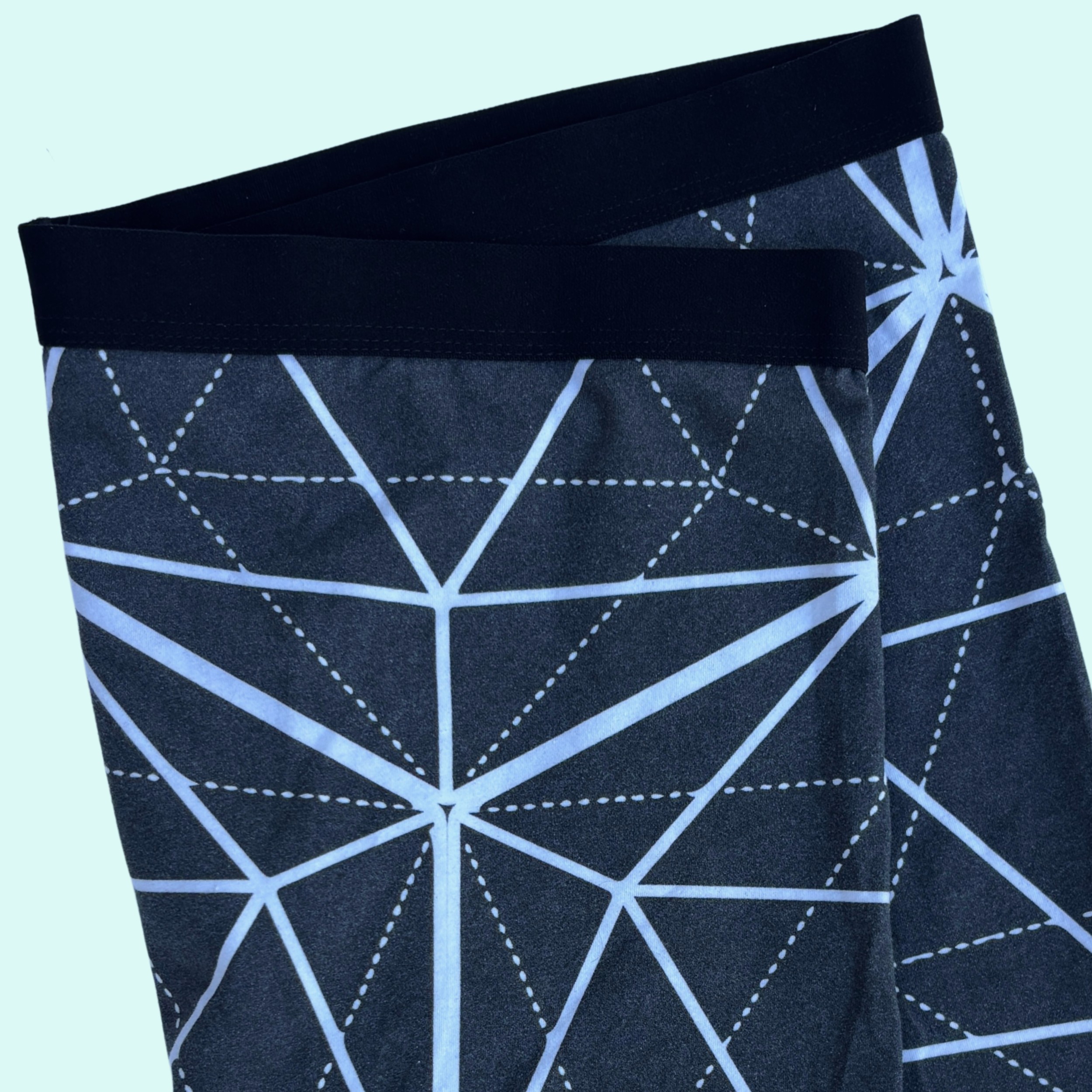 Lupine Packing Trunk