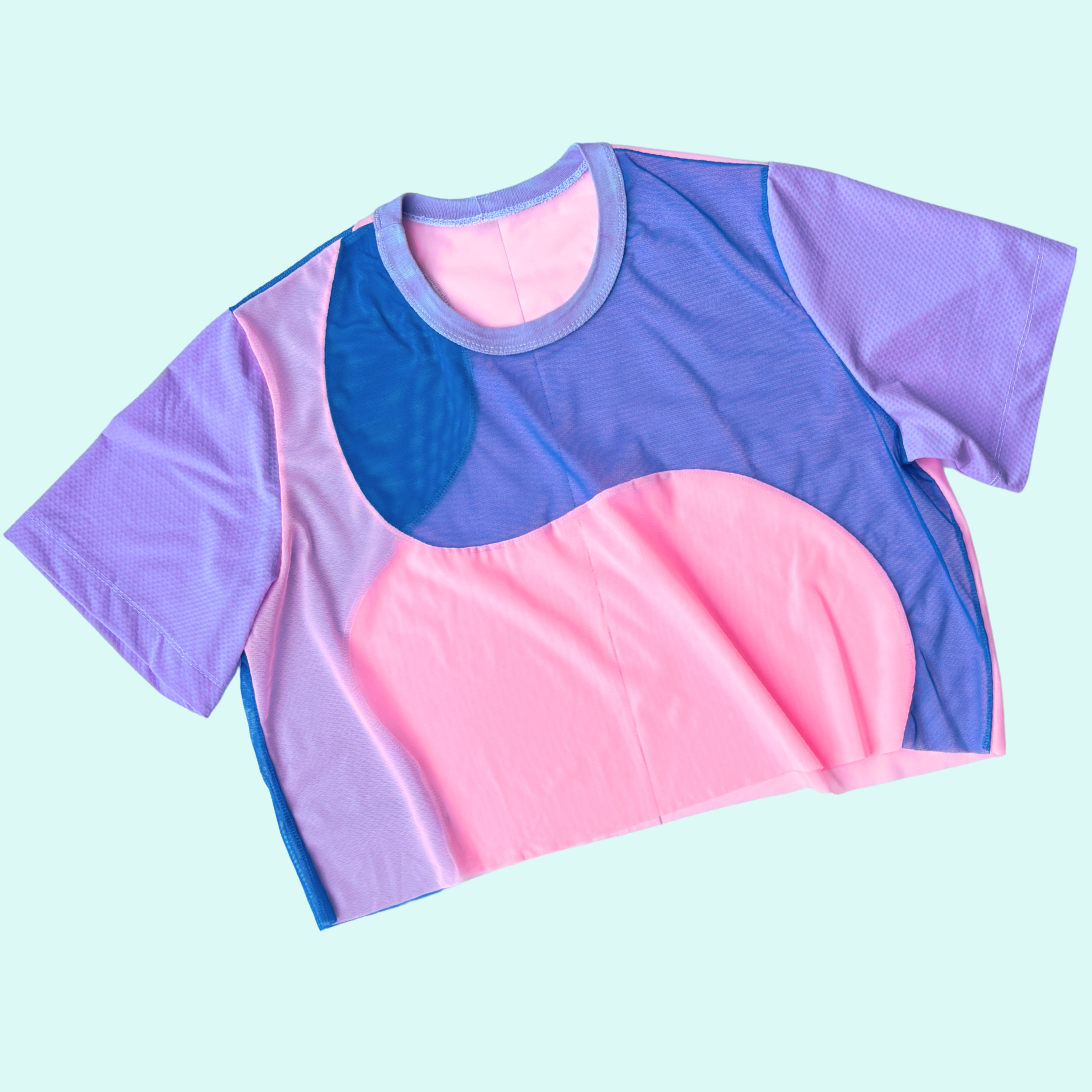 L Bi Crop Top.png
