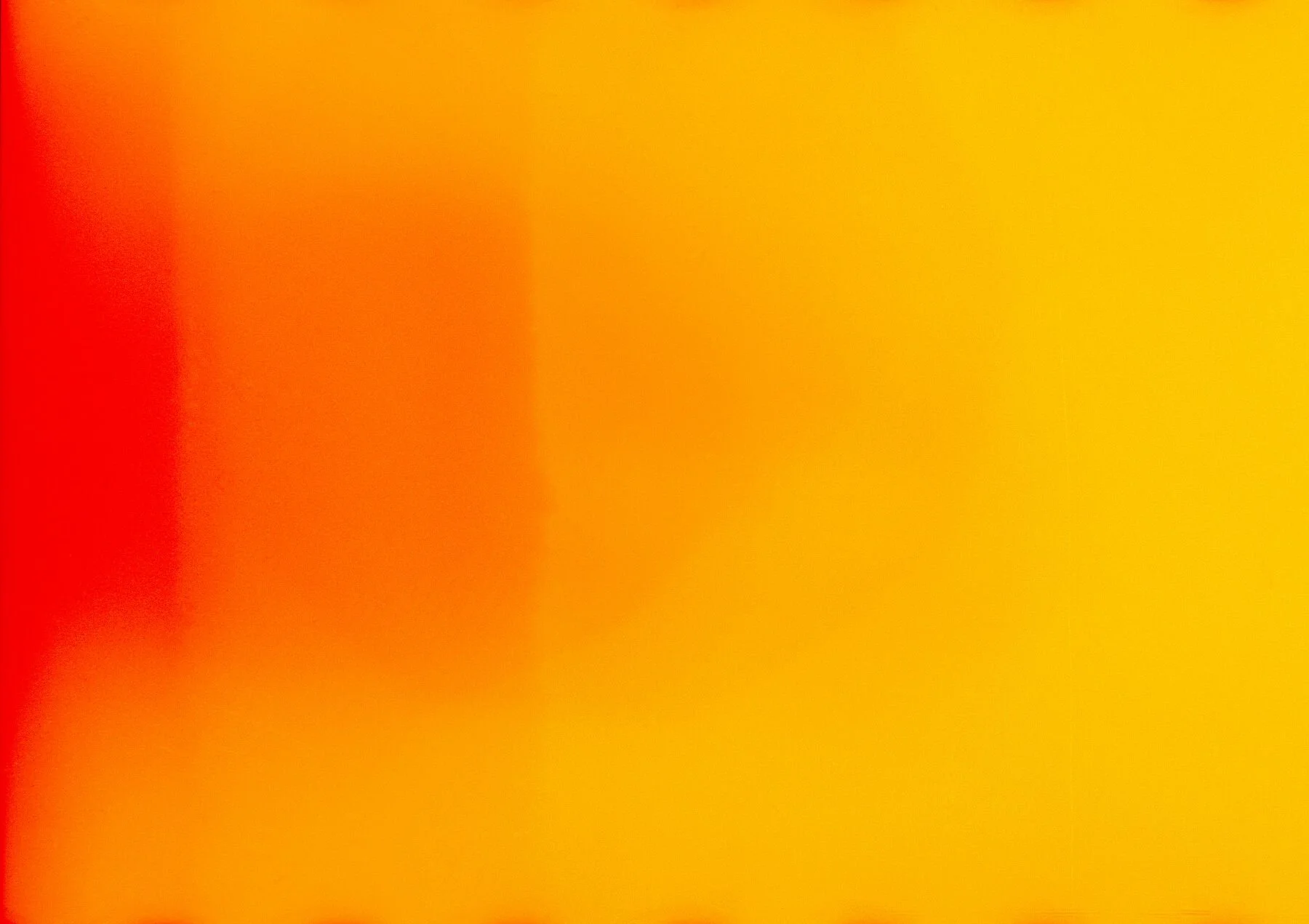 9310856.jpg