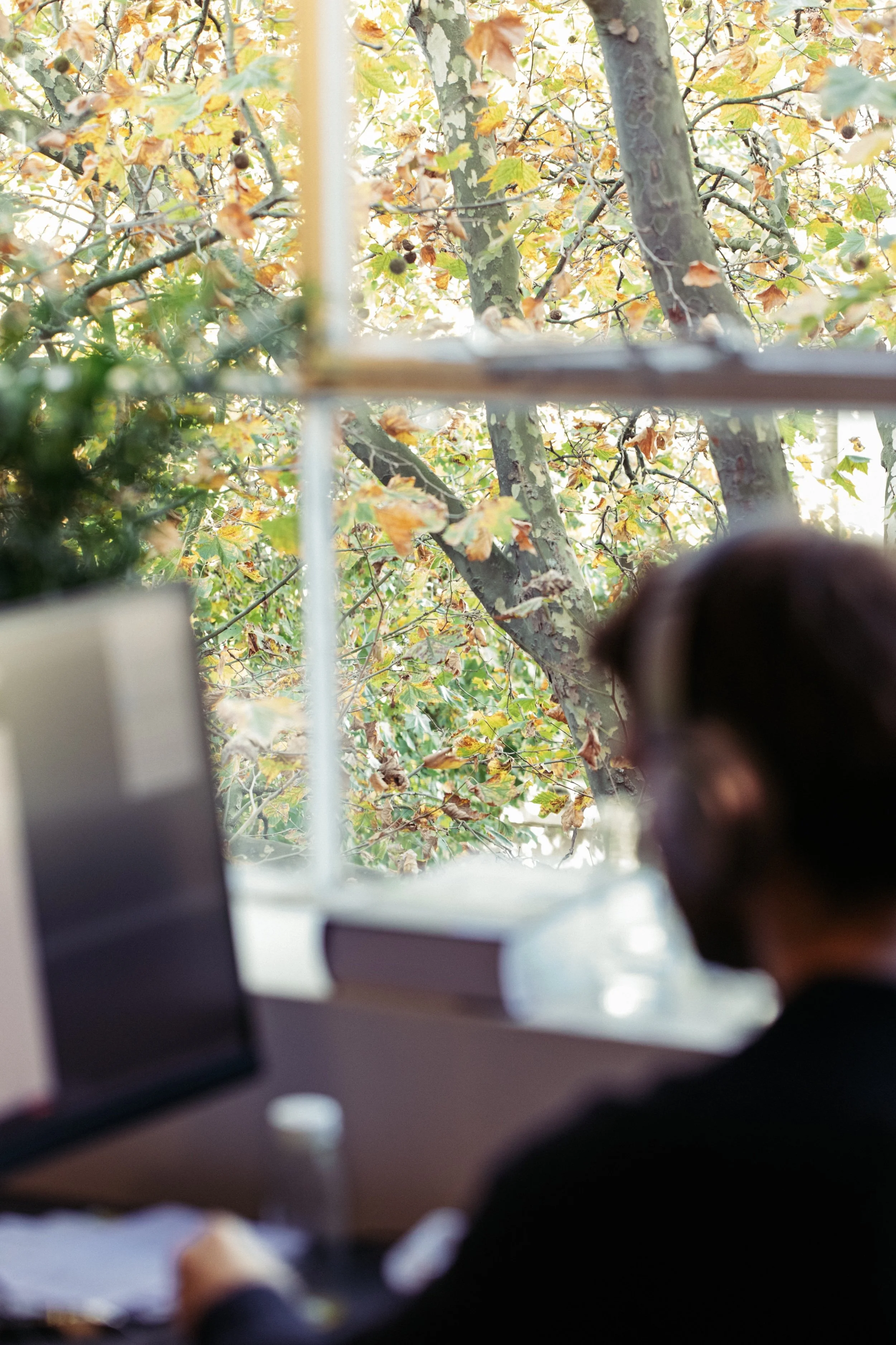 OFFICES_492A9155.jpg