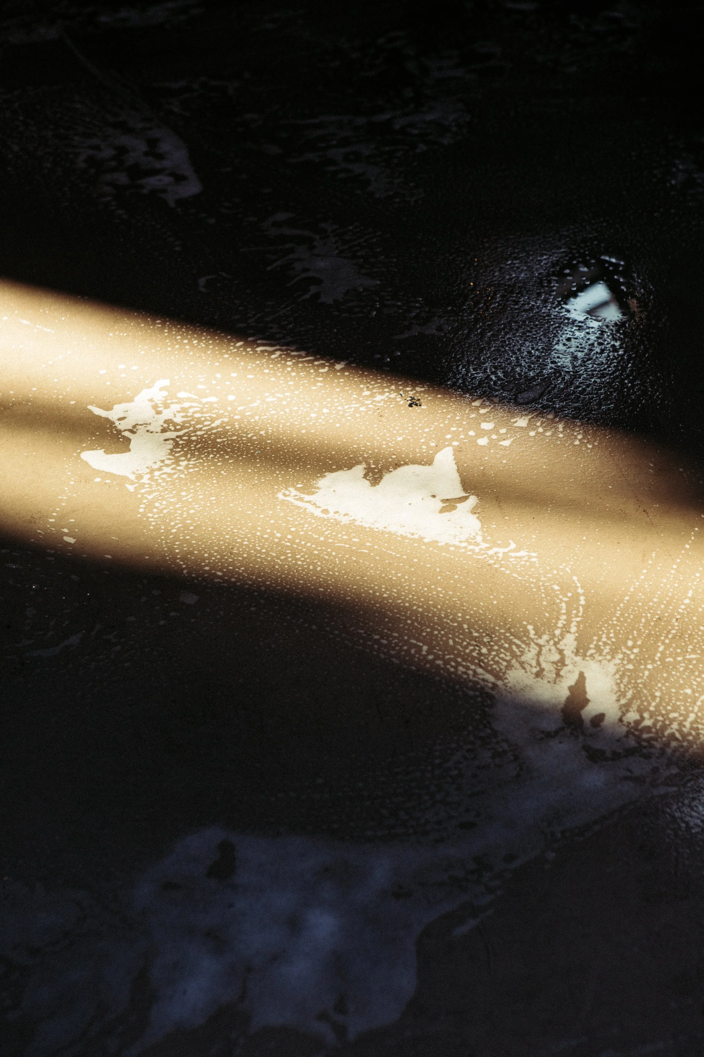 15_OI4A0536.jpg