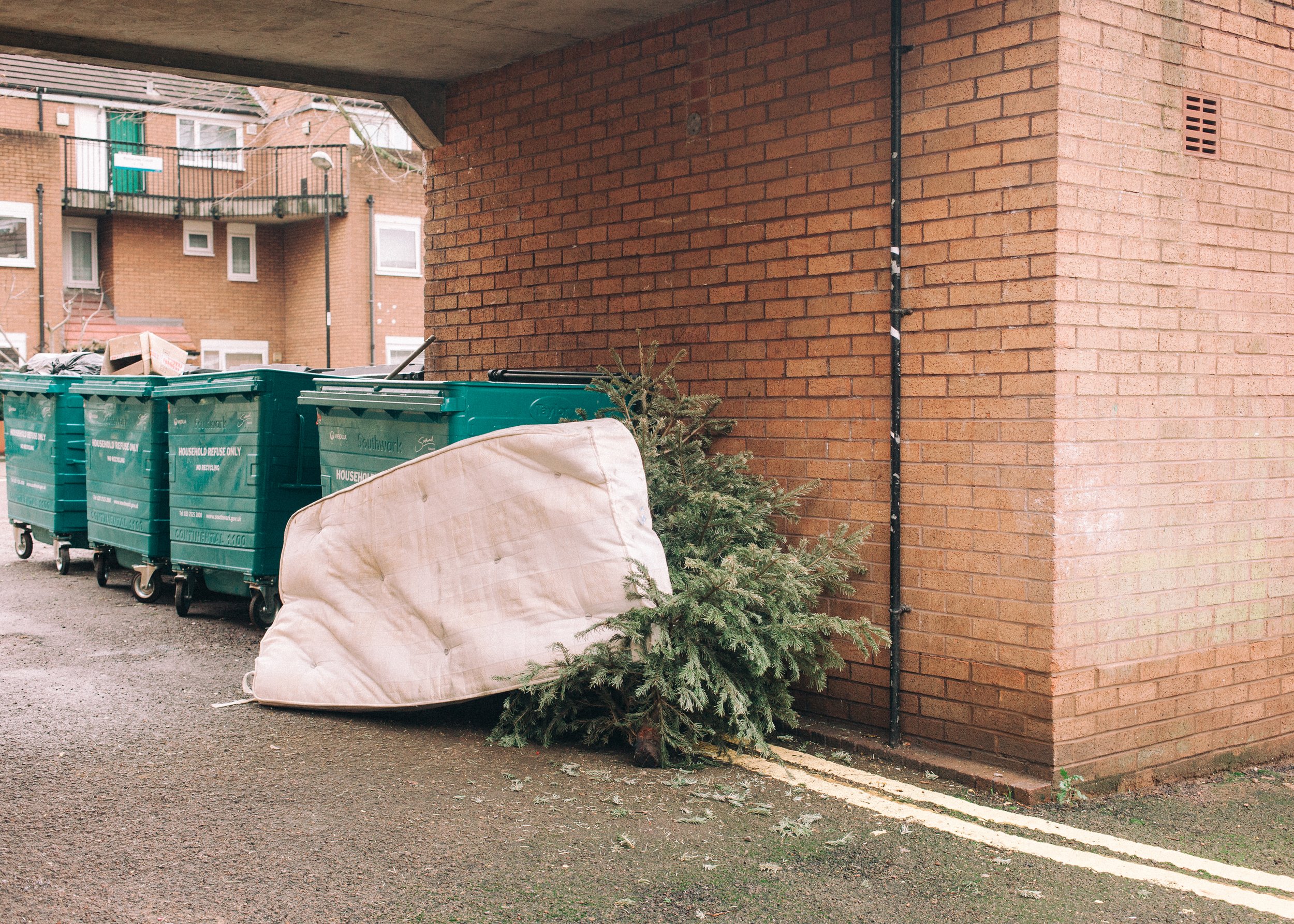 2016_12_28 Dead Christmas Trees 2017_IMG_8585.jpg
