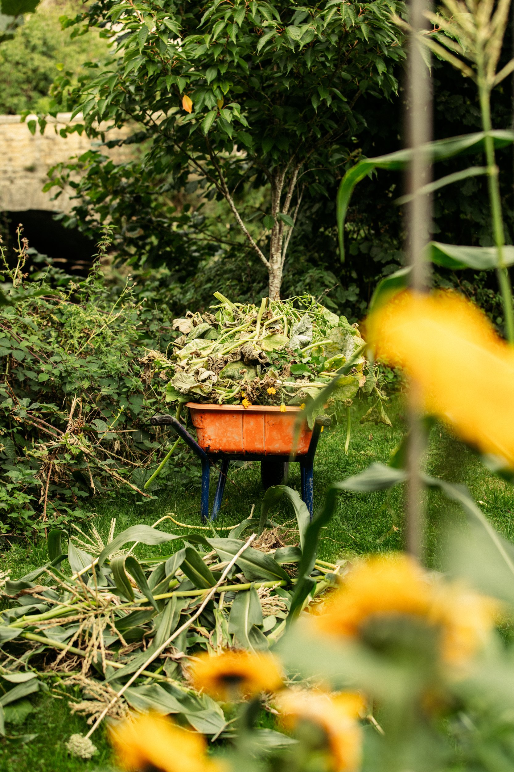 Gardens_299A9893.jpg