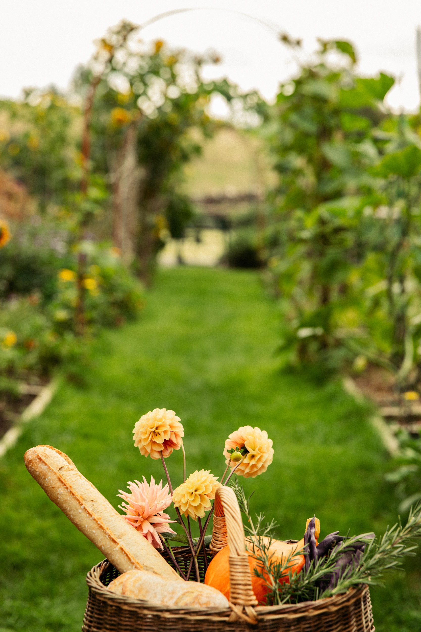 Gardens_299A0481.jpg