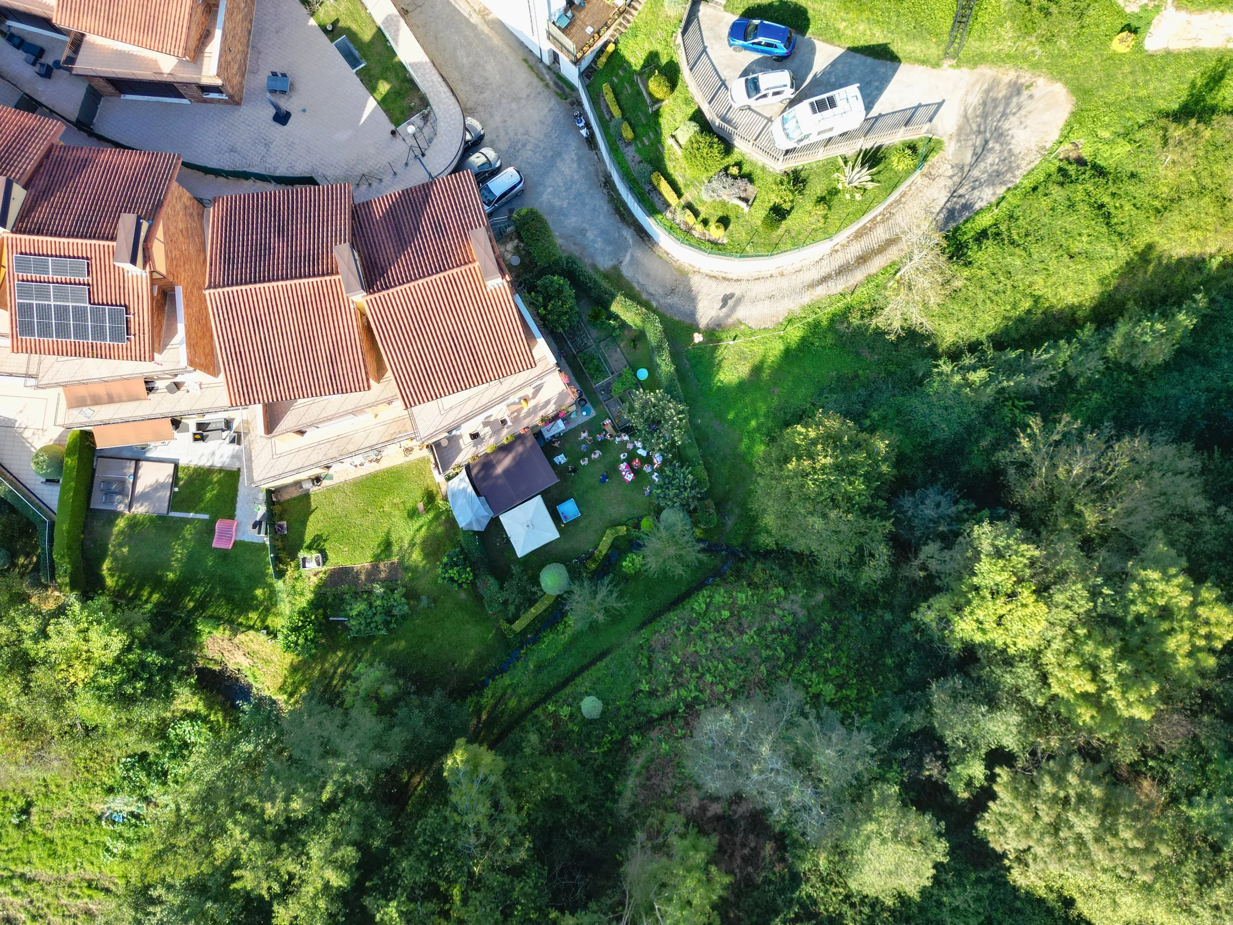 DJI_0193.jpg