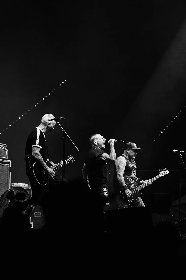 MTM04391web 2026.jpg