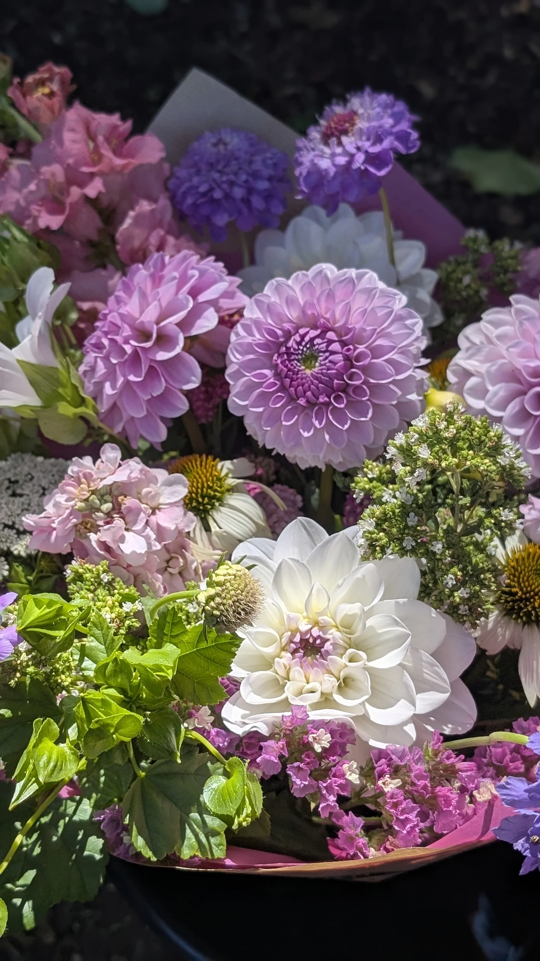 PXL_20250716_132732949.PORTRAIT (1).jpg