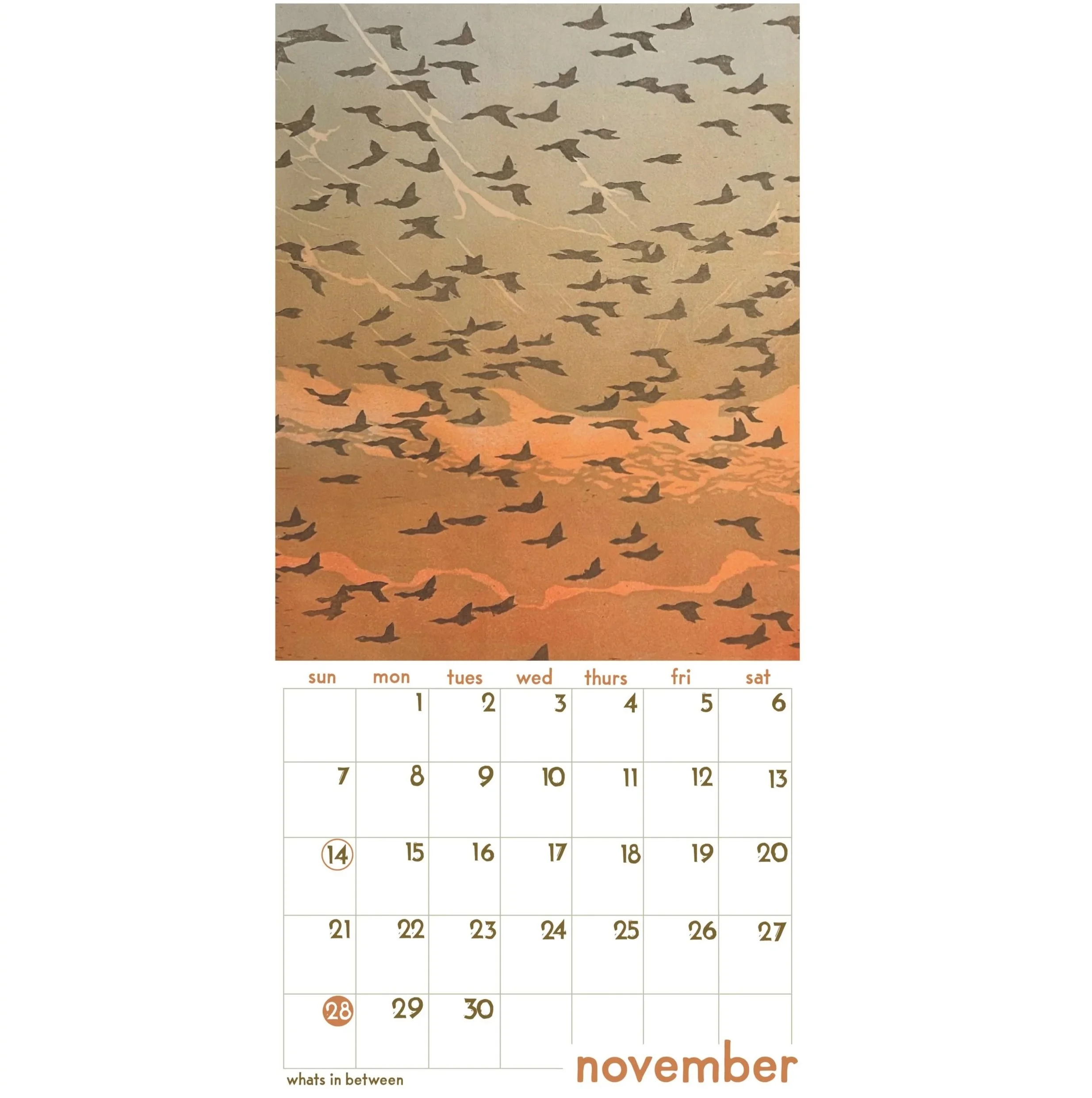 nov+web.jpg
