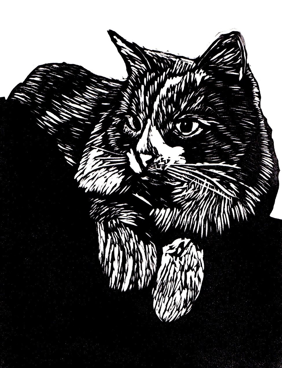 SarahKoffStudio_custom14.jpeg