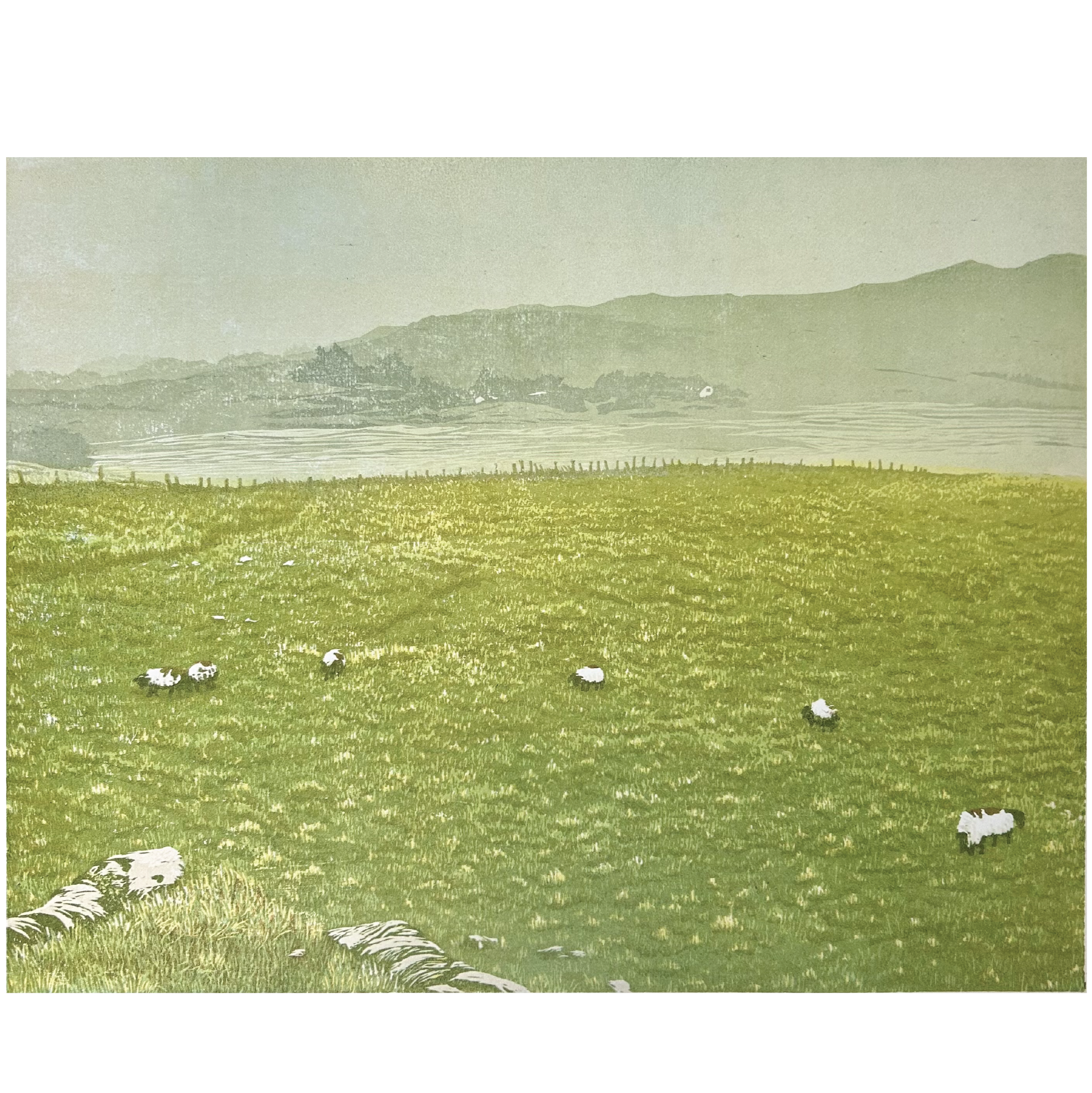 connemara+for+web.png