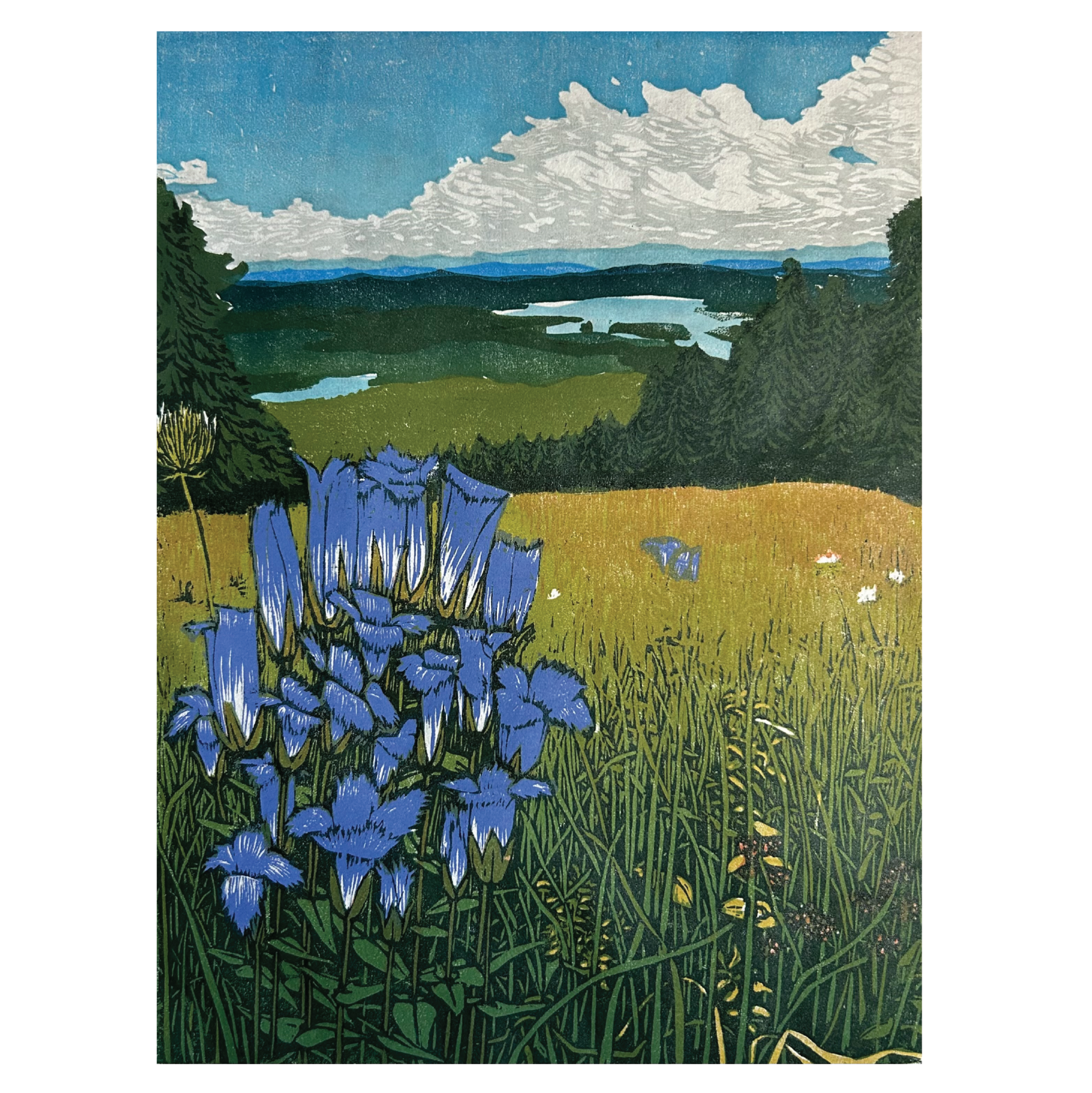 gentian+web.png