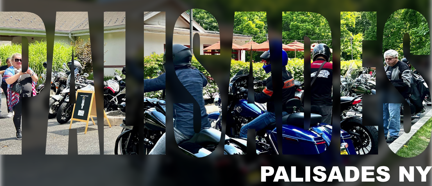 PALISADES HEADER.png