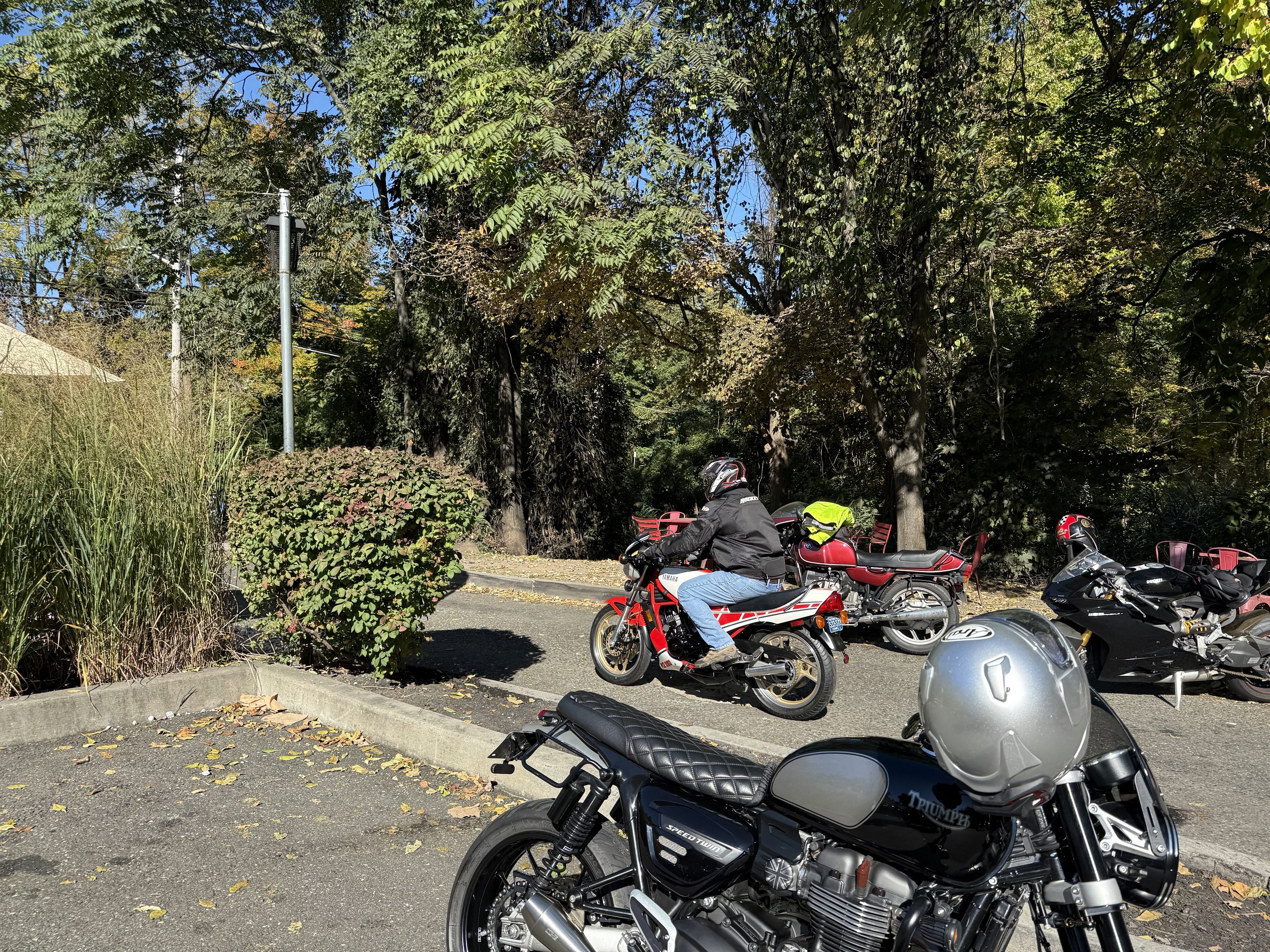 IMG_0119.jpeg
