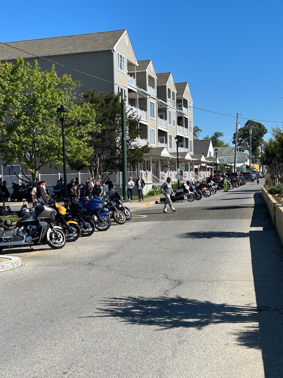 Bikes &amp; Breakfast North Beach Fun in the sun