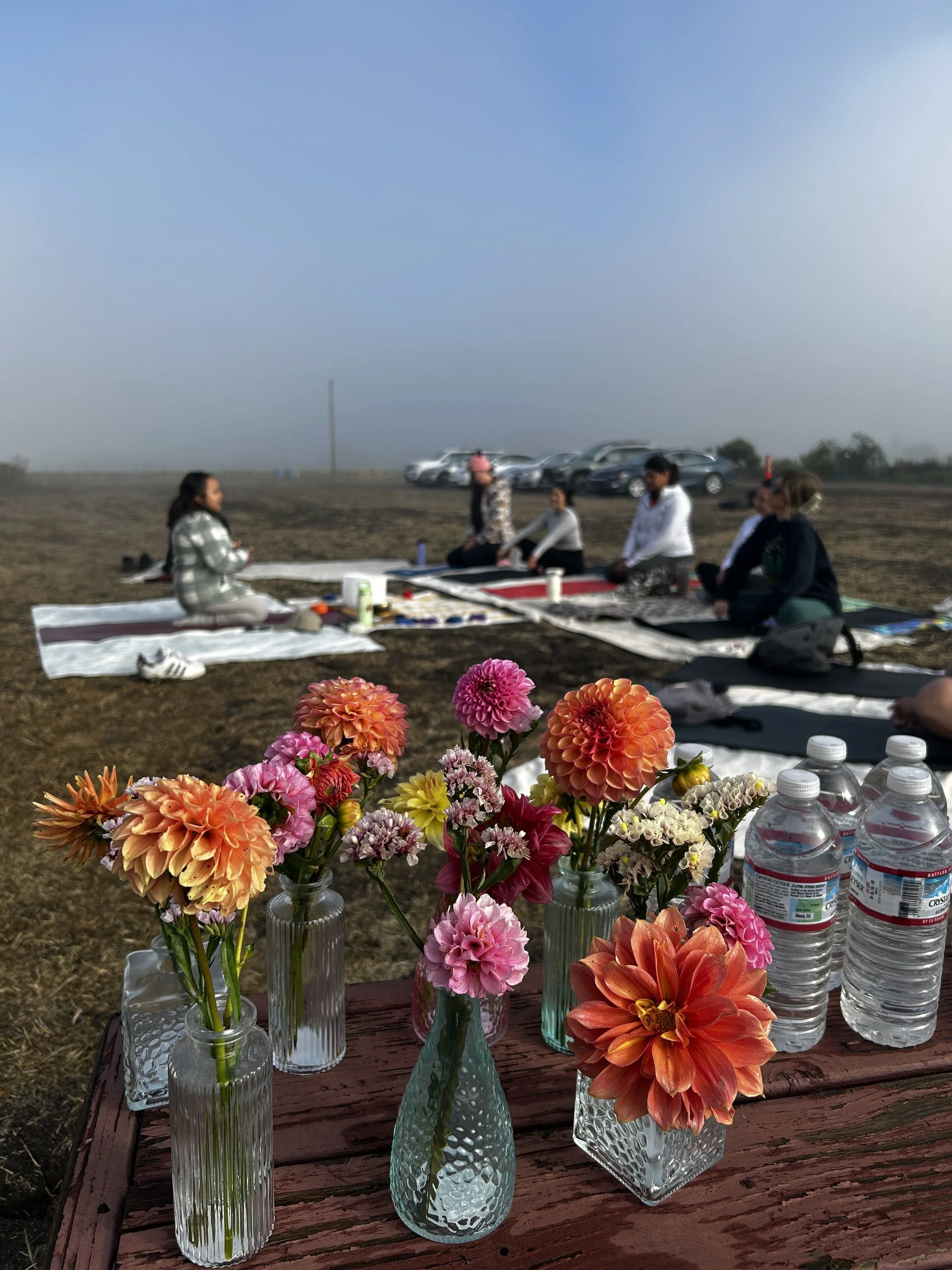 Yoga &amp; U-Pick Offering at the Farm