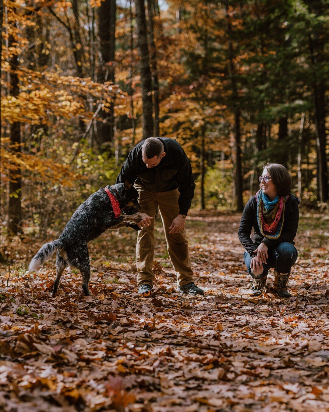 what i said: of course you can bring your dog!⠀⠀⠀⠀⠀⠀⠀⠀⠀
what i meant: omg PLEASE BRING YOUR DOG?!?⠀⠀⠀⠀⠀⠀⠀⠀⠀
.⠀⠀⠀⠀⠀⠀⠀⠀⠀
.⠀⠀⠀⠀⠀⠀⠀⠀⠀
.⠀⠀⠀⠀⠀⠀⠀⠀⠀
.⠀⠀⠀⠀⠀⠀⠀⠀⠀
.⠀⠀⠀⠀⠀⠀⠀⠀⠀
.⠀⠀⠀⠀⠀⠀⠀⠀⠀
#planoly  #portrait #coupleportrait #portraitphotographer #upstateny #upstat