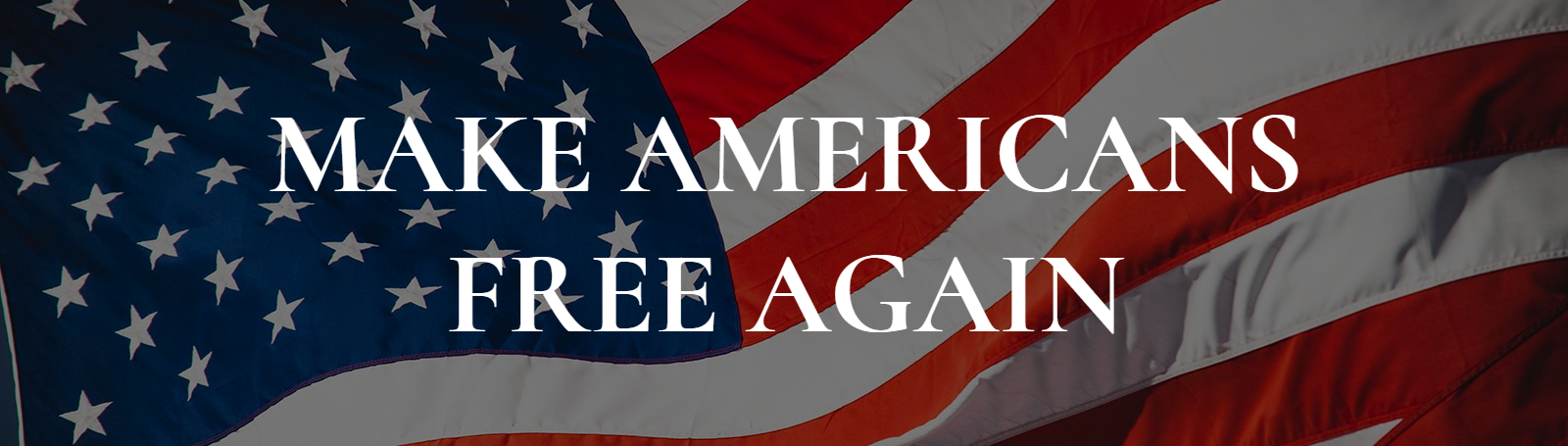 You can make a difference! Our liberties and freedoms are being limited and infringed. Alone you may feel helpless, together we will tackle one issue at a time. Join us today at makeamericansfreeagain.com.