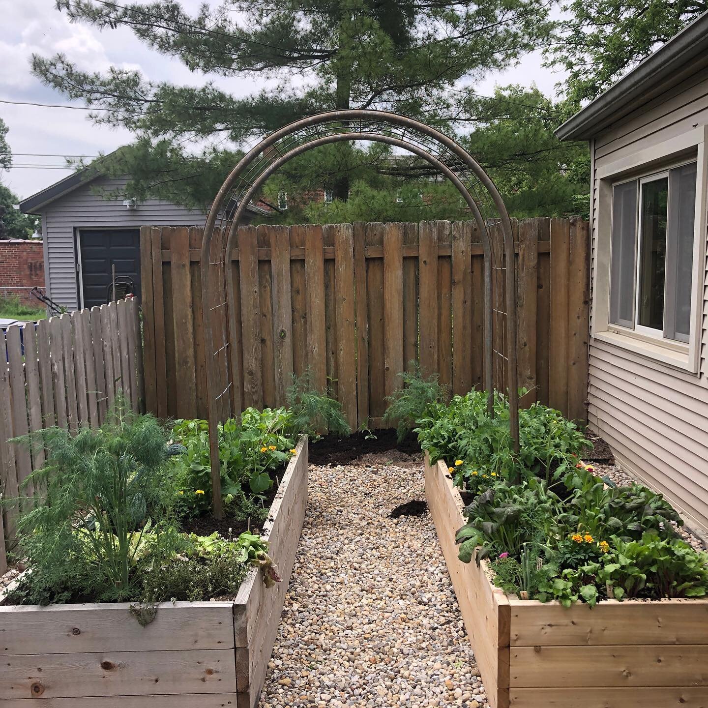 Swipe to see what this garden looked like 1.5 hours before this seasonal planting took place. 
.
With each new planting season we come into our clients&rsquo; gardens, pull spent plants, add compost and fertilizer, and inter plant with warm or cool s