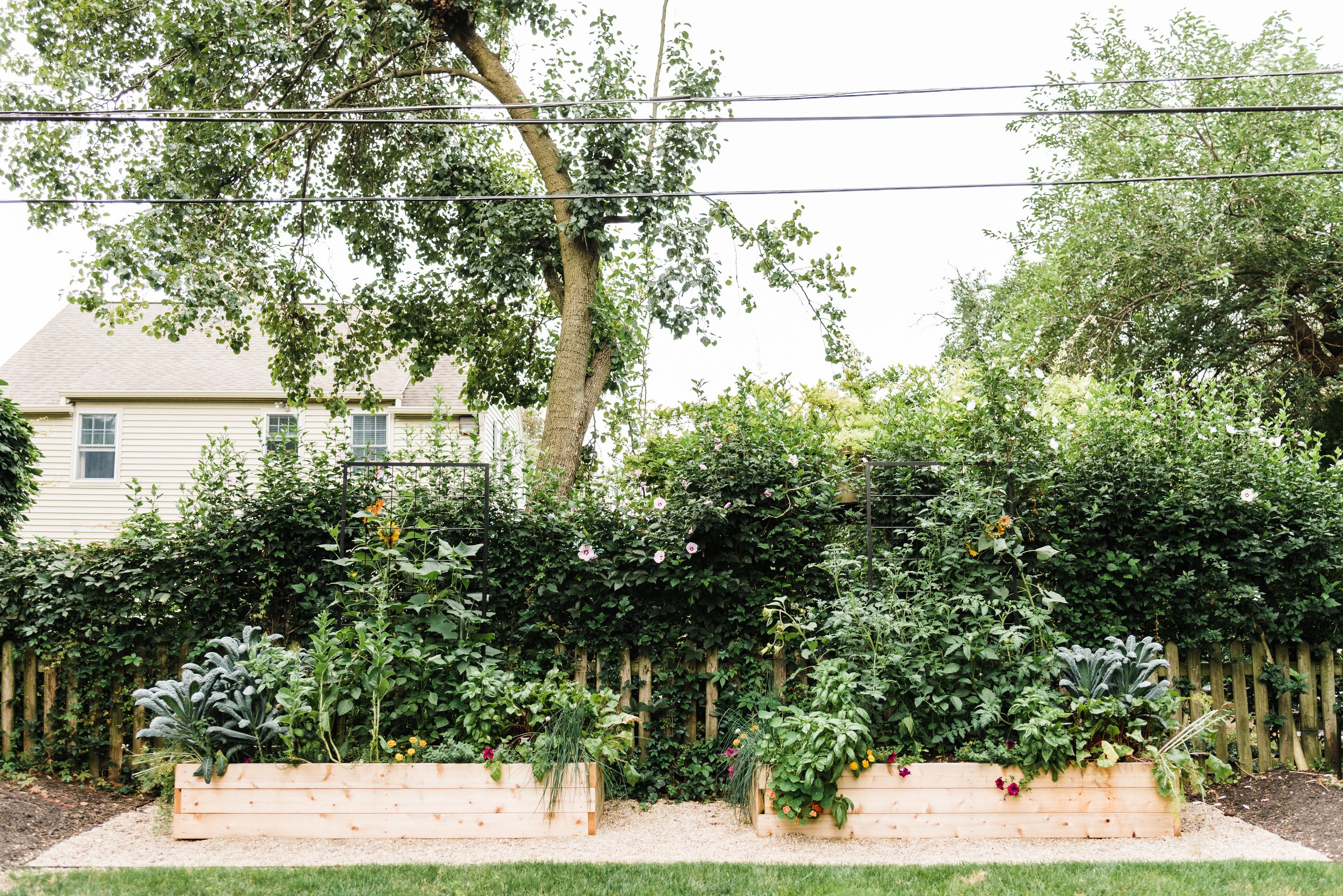 Cedar Twin Garden with Panel Trellises