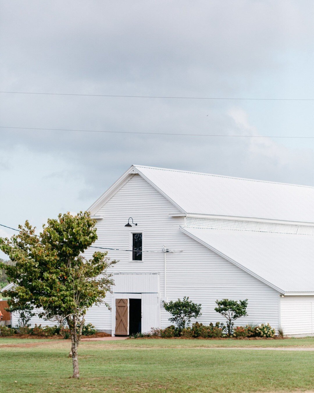 Celebrating local talent and creativity! 🌟👩🎨 If you have ever created or collaborated here with us, TAP IN!!! We want to 🔦spotlight our favorite local vendors who help to bring our couple's wedding dreams to life at Dutch Ford Farm. Let's support