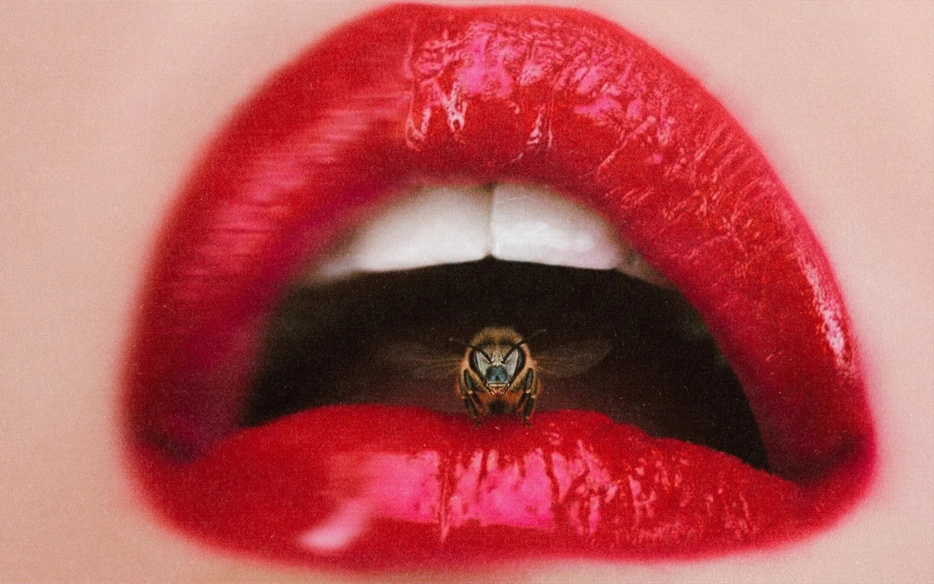 Buzzing Around, 2026.