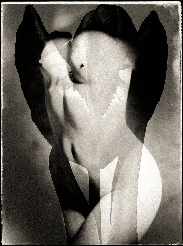 L'éveil du printemps, 2021