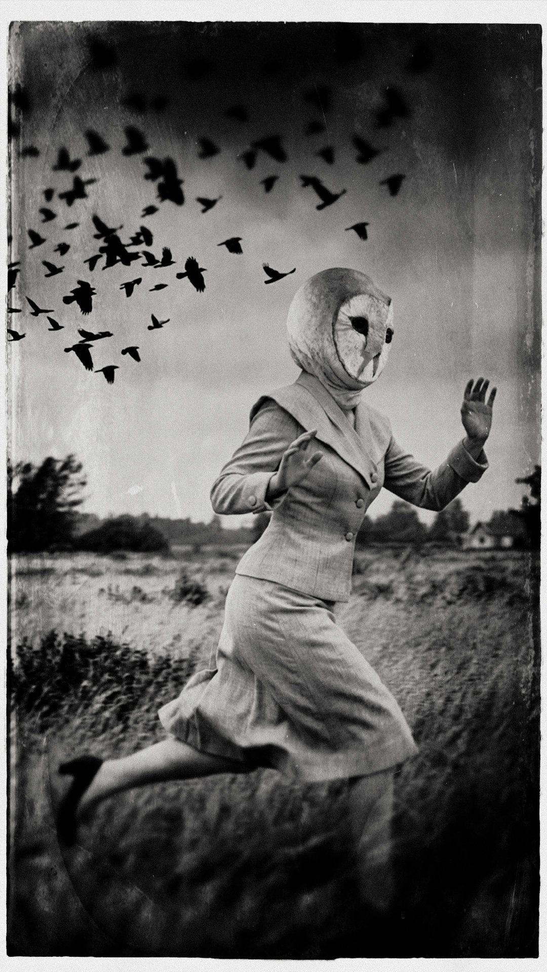 The Birds, Paris, 2026.