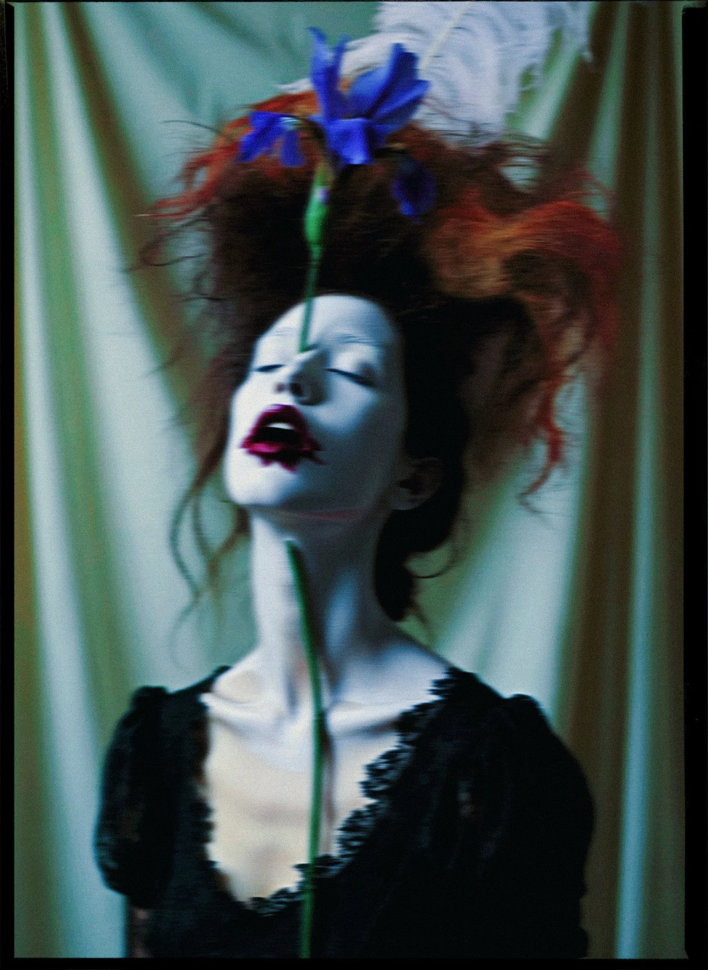 Imaginary Flowers, Paris, 2026.