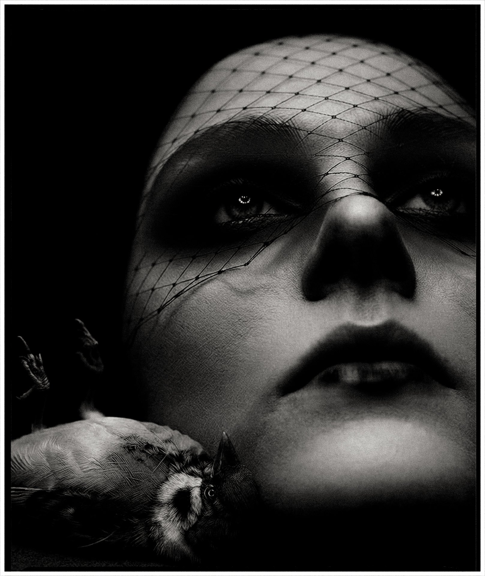The Day I Buried a Bird, Paris, 2026.