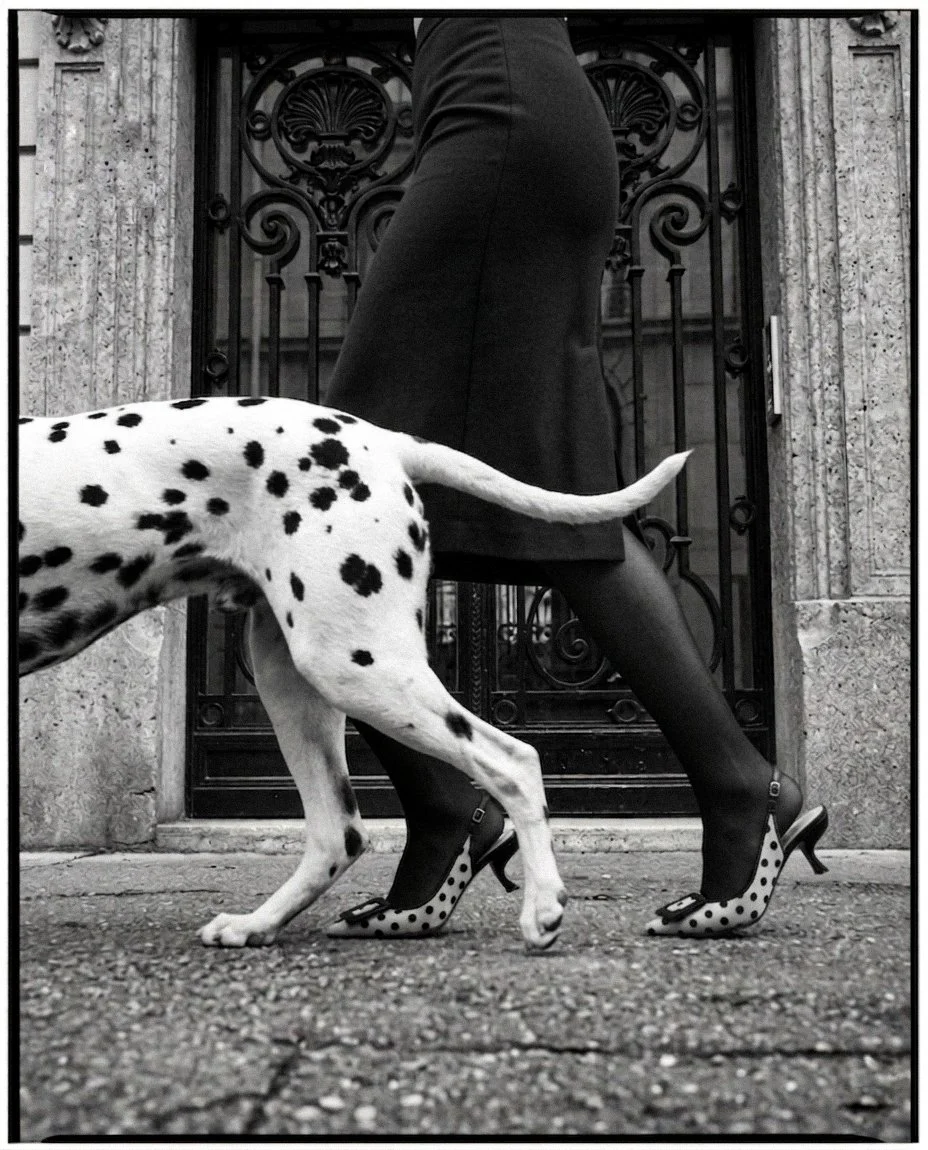 Walkies II, Paris, 2026.