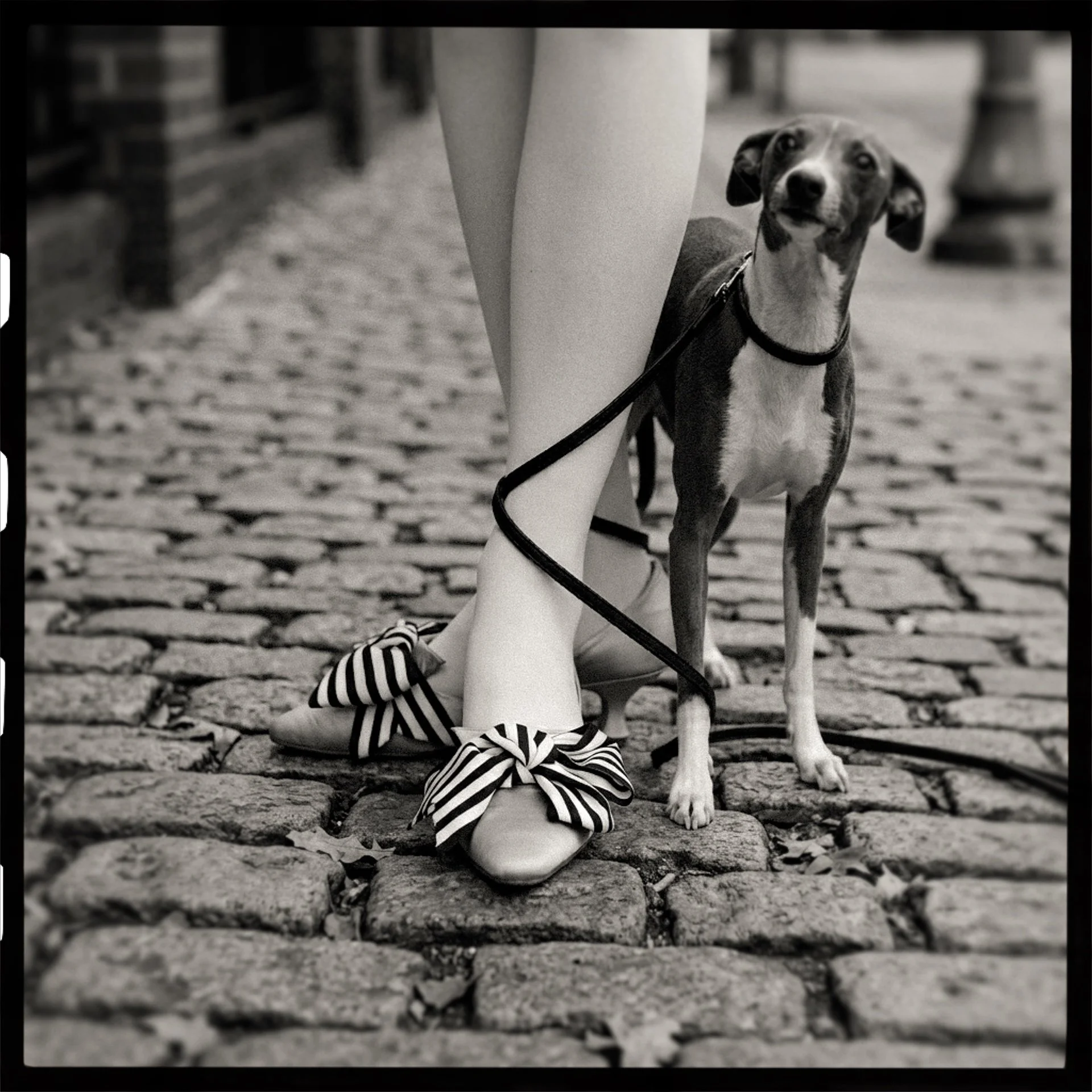 Walkies, Paris, 2026.