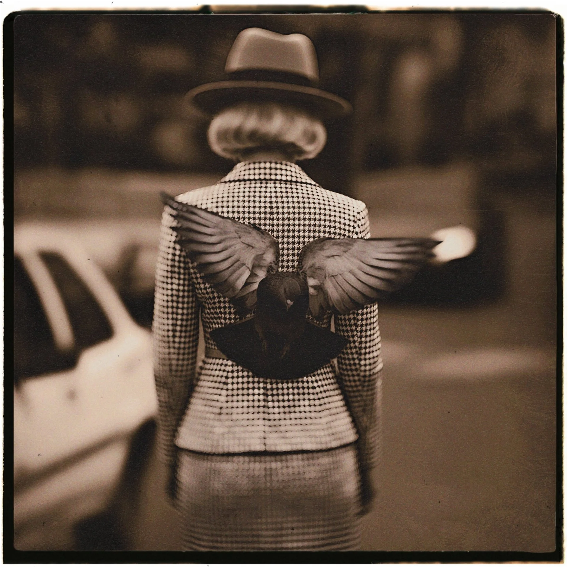 Fly, fly, fly..., Paris, 2026.