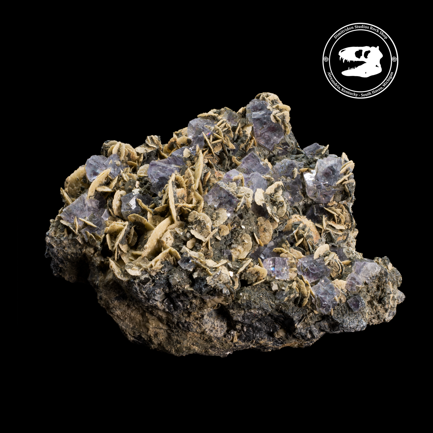 Purple Fluorite Bracelet - Perception and Awakening - Minera Emporium  Crystal & Mineral Shop
